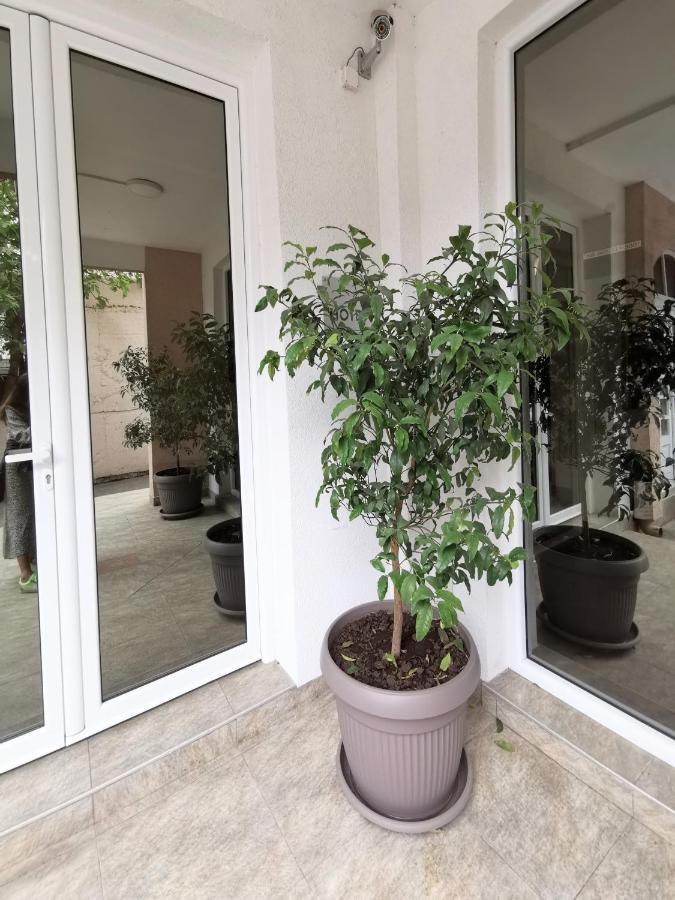 Hotel Suzana บุดวา ภายนอก รูปภาพ